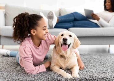 World Microbiome Day: The hidden ecosystem connecting you and your pet